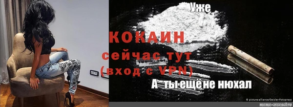 мяу мяу мука Новодвинск