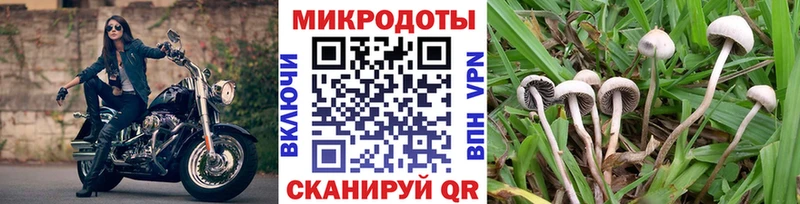 Галлюциногенные грибы Psilocybine cubensis  mega рабочий сайт  Тында 